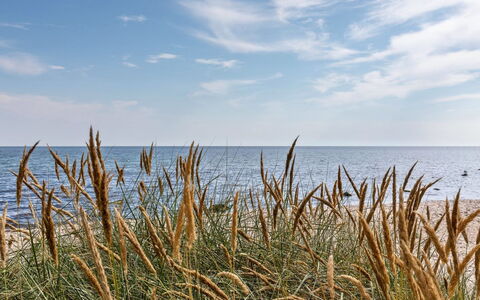 Solfred - 200M from the Sea: Bleu, L'Eau, Plan D'Eau, Mer, Horizon, Cotiers Et Relief Océaniques, Océan, Côte