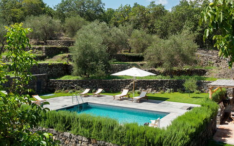 Villa Tranquilla - Randazzo, Sicilia: Plante, L'Eau, Communauté Des Plantes, Paysage Naturel, Ciel, Piscine, Ombre, Nuage, Herbe, Paysage