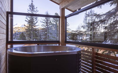 Logement:&nbsp;Superior # 9 mit Sauna & Hot Tub 160.9