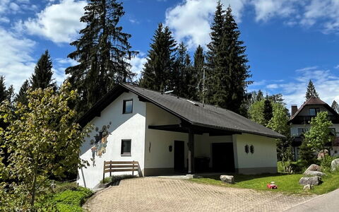 Schluchsee 650: Nuage, Plante, Ciel, Bâtiment, Arbre, Maison, Fenêtre, Mélèze, Lot Terre, Chalet