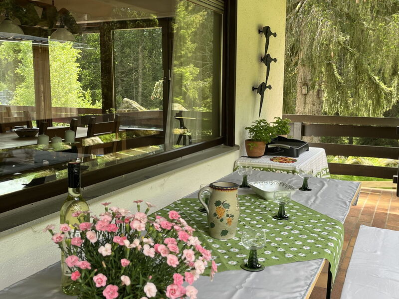 Logement:&nbsp;Habsberg 650.1