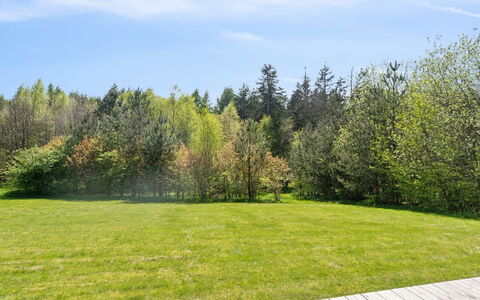 Tian: Vert, Arbre, Herbe, Arbuste, Lot Terre, Plaine, Jardin, Prairie, Printemps