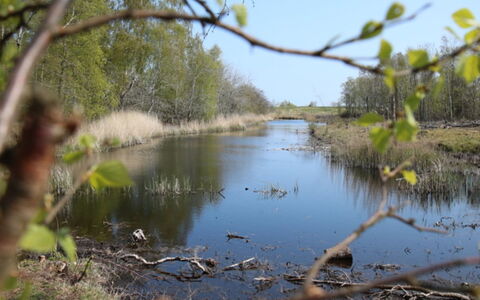 Krok - 1.2Km from the Sea: Ressources En Eau, L'Eau, Plan D'Eau, Environnement Naturel, La Nature, Le Marais, Paysage Naturel, Cours D'Eau