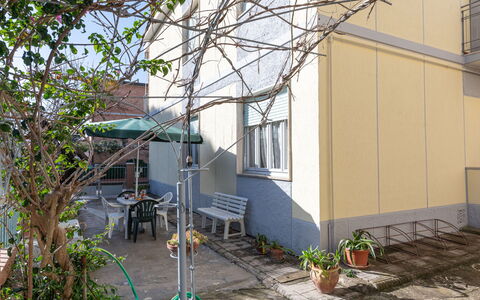 Angela: Plante, Fenêtre, Bâtiment, Pot De Fleur, Design Urbain, Surface De La Route, Arbre, Zone Résidentielle, Immobilier, Façade