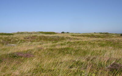 Gisa - 400M from the Sea
