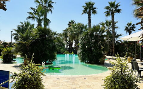Villa Rosarno: Plante, L'Eau, Ciel, Pot De Fleur, Arbre, Bleu Azur, Piscine, Arecales, Végétation, Loisir