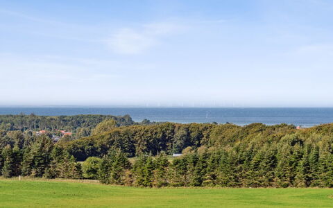 Ann - 1.3Km from the Sea: Ciel, Bleu, Jour, Vert, Herbe, Horizon, Végétation, Prairie, Été, Lot Terre