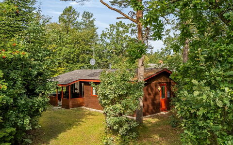 Friis - 100M from the Sea: Arbre, Bois, Chalet, Arbuste, Maison, Zone Rurale, Lot Terre, Printemps, Jardin, Batiments Jardin