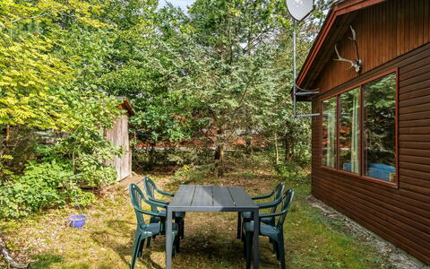 Friis - 100M from the Sea: Feuille, Bois, Branche, Arbuste, Chalet, Tronc, Brindille, Jardin, Batiments Jardin, Cour