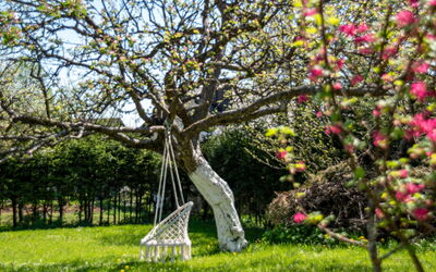 Relax & Play