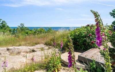 Seetje - 200M from the Sea