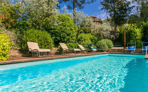 Sole: L'Eau, Plante, Propriété, Meubles, Piscine, Bleu Azur, Bleu, Arbre, Mobilier De Jardin, Ombre