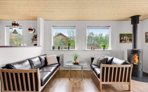 Ensio - 300M to the Fjord: Meubles, Sol, Design Intérieur, Bois, Sol, Parquet, Salon, Canapé, Domicile, Plafond