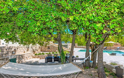 Secret Gem: Feuille, Branche, Ombre, Printemps, Mobilier De Jardin, Tronc, Suppression Des Plantes Ligneuses, Brindille, Jardin, Banc