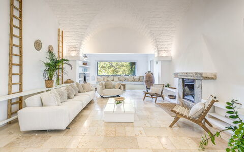 Masseriola Di Puglia: Canapé, Plante, Meubles, Plante D'Appartement, Design Intérieur, Sol, Salon, Table, Cadre, Canapé-Lit