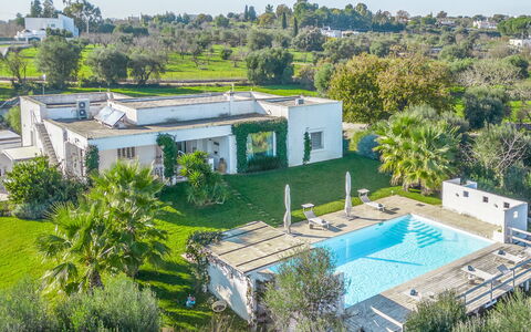 Masseriola Di Puglia: Plante, Bâtiment, Arbre, Botanique, Lot Terre, Fenêtre, Design Urbain, Zone Résidentielle, Quartier, Maison