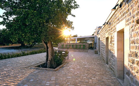 Casa Masseria - Scicli, Sicilia: Plante, Ciel, Bâtiment, Surface De La Route, Arbre, Sol, Asphalte, Herbe, Paysage, Route