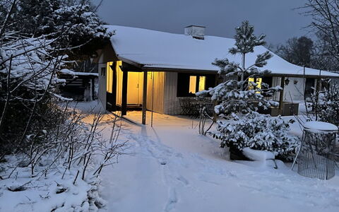 Alica - 200M from the Sea