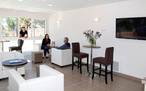 Baden 800: Meubles, Plante, Chaise, Table, Confort, Plante D'Appartement, Architecture, Design Intérieur, Salon, Sol