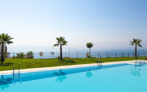 Amazing Sea: Plante, L'Eau, Nuage, Ciel, Bâtiment, Piscine, Arbre, Ombre, Design Urbain, Loisir