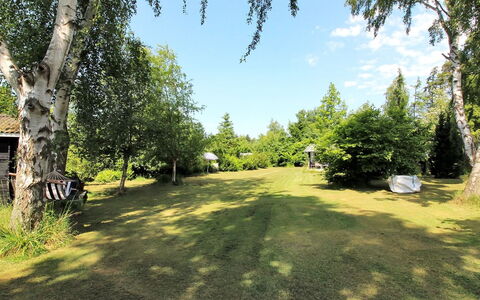 Elisa - 600M from the Sea: Arbre, Herbe, Arbuste, Lot Terre, Jardin, Pelouse, Parc, Des Bois, Ombre, Aménagement Paysager