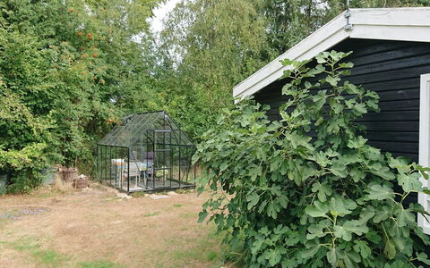 Elisa - 600M from the Sea: Arbuste, Jardin, Arrière-Cour, Batiments Jardin, Cour, Cabanon, Aménagement Paysager, Plantation, Herbe