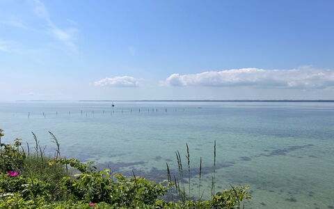 Jovana - 40M from the Sea: Maison, Domicile, Porte, Toit, Chalet, Biens, Jardin, Ombre, Siding, Cour