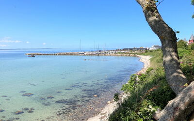 Jovana - 40M from the Sea