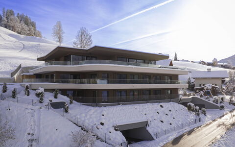 Hopfgarten im Brixental 500: Architecture, Balcon