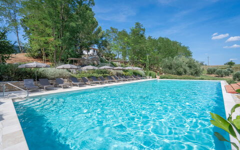 Coratina Spereto Apartment with Pool, Montaione: L'Eau, Plante, Ressources En Eau, Propriété, Ciel, Piscine, Nuage, Bleu Azur, Arbre, Paysage Naturel