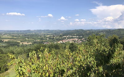 Bellavista