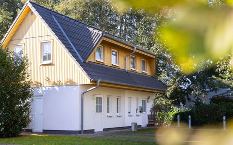 Schneider 2D: Plante, Bâtiment, Propriété, Fenêtre, Feuille, Maison, Arbre, Bois, Herbe, Chalet