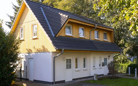 Schneider 2D: Plante, Bâtiment, Propriété, Fenêtre, Arbre, Maison, Jaune, Bois, Zone Résidentielle