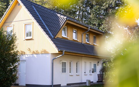 Schneider 2D: Bâtiment, Plante, Fenêtre, Feuille, La Nature, Maison, Jaune, Bois, Arbre, Chalet
