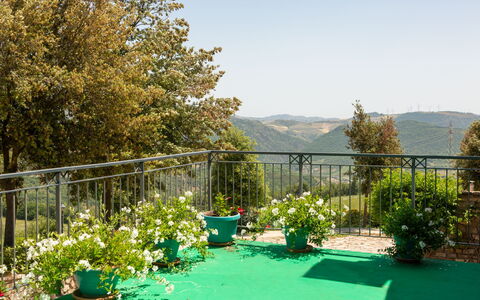 Villa Trivigno: Vert, Printemps, Pot De Fleur, Jardin, Chaise, Clôture, Ombre, Balcon, Mobilier De Jardin, Plante D'Appartement