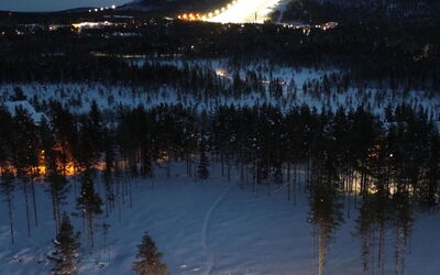 Röllimetsä D 4