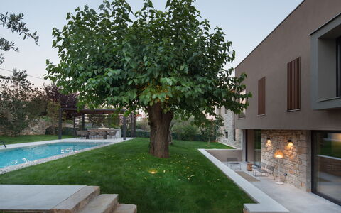 Melon: Meubles, Propriété, Plante, Confort, Textile, Bois, Design Intérieur, Cabinetry, Plante D'Appartement, Sol