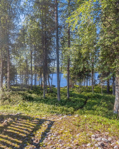 Pohjaslahdentie 17 B