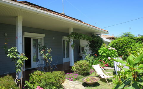 Mandarine: Fleur, Plante, Bâtiment, Propriété, Ciel, Fenêtre, Maison, Herbe, Chalet, Lot Terre