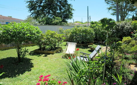 Mandarine: Plante, Ciel, Fleur, Communauté Des Plantes, Arbre, Paysage Naturel, Lot Terre, Chaise, Herbe, Couverture De Sol