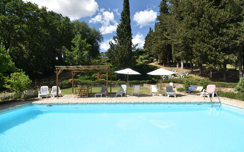 Podere Le Muricce: L'Eau, Nuage, Plante, Ciel, Piscine, Bleu Azur, Ombre, Arbre, Chaise, Parapluie