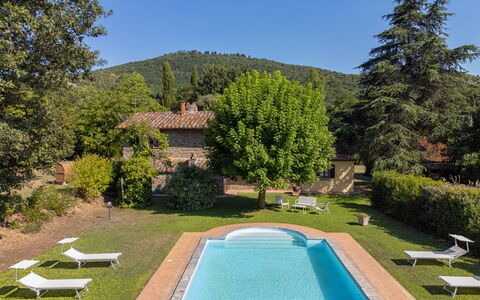 Villa Marconi: Plante, L'Eau, Ciel, Propriété, Bâtiment, Vert, Piscine, Bleu Azur, Arbre, Paysage Naturel