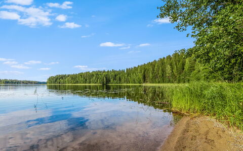 Mäntyranta 1: Bleu, L'Eau, Ressources En Eau, Vert, Plan D'Eau, La Nature, Environnement Naturel, Paysage Naturel, Été, Banque
