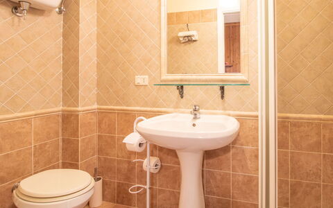 La Mora: Marron, Luminaire Plomberie, Propriété, Évier, Robinet, Lavabo, Salle De Bains, Violet, Noir, Design Intérieur