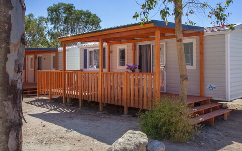 Palau 59: Ciel, Fenêtre, Plante, Bâtiment, Bois, Arbre, Chalet, Maison, Lot Terre, Siding
