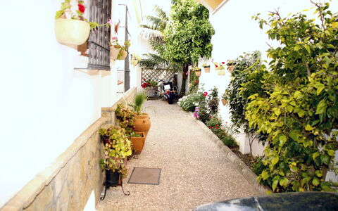 Apartamento Playa De Regla: Plante, Propriété, Fleur, Pot De Fleur, Bâtiment, Plante D'Appartement, Orange, Jaune, Mur, Surface De La Route