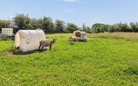 Ilsabe - 25Km from the Sea: Herbe, Prairie, Pâturage, Zone Rurale, Champ, Paysage, Plaine, Pâturage, Lot Terre