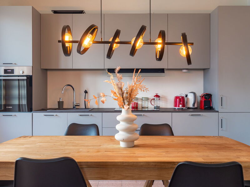 Logement:&nbsp;Mezzo 110.1