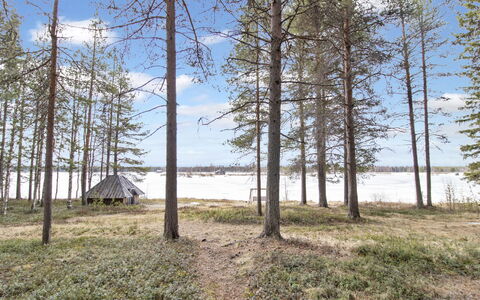 Kelopirtti: Bois, Siding, Chalet, Maison, Domicile, Planche, Batiments Jardin, Cabane En Rondins, Dur, Porche