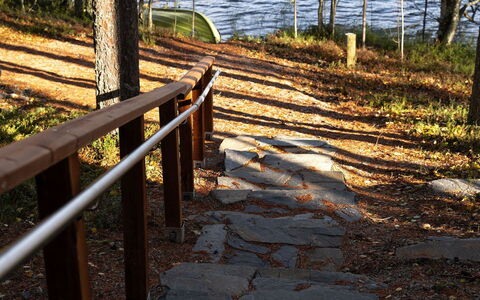 Villa Käpytikka: Feuille, Bois, Tronc, Lumière Du Soleil, Forêt, Des Bois, Passerelle, L'Automne, Bosquet, Rive